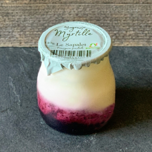 Blueberry cow yogurt bio